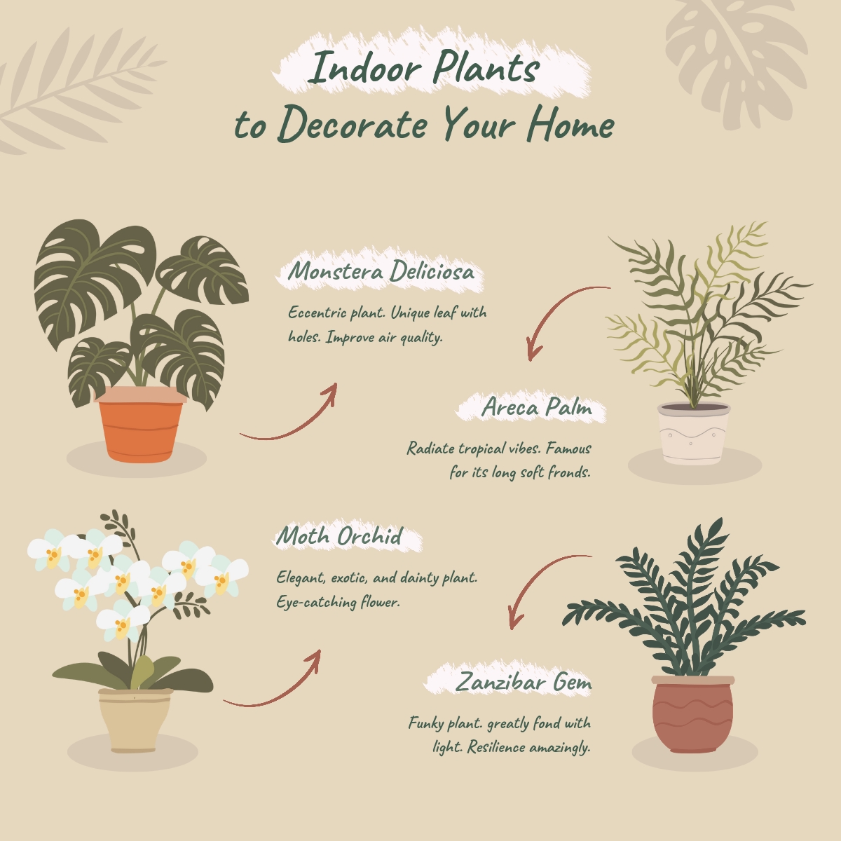 Best Indoor Plants for Beginners