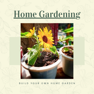 How to Care for Your Garden Plants