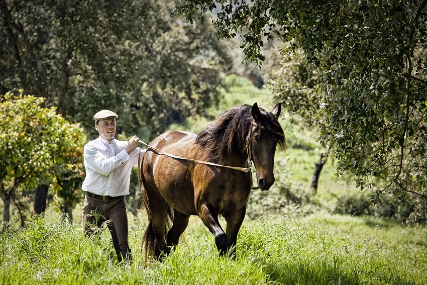 Esmeralda Equestrian Club